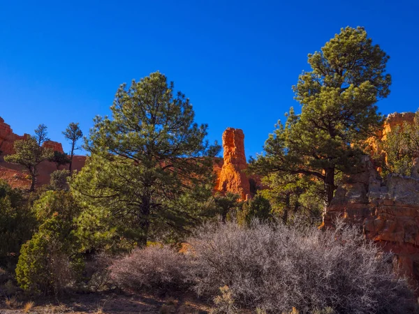 Cañón Rojo en Utah - paisaje increíble — Foto de Stock