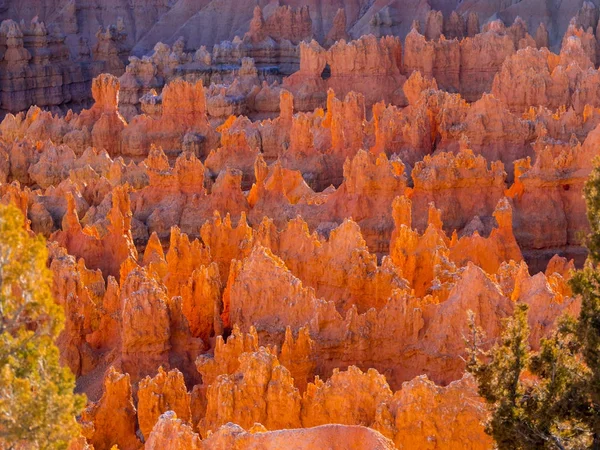 Must see places in the USA - the amazing Bryce Canyon National Park