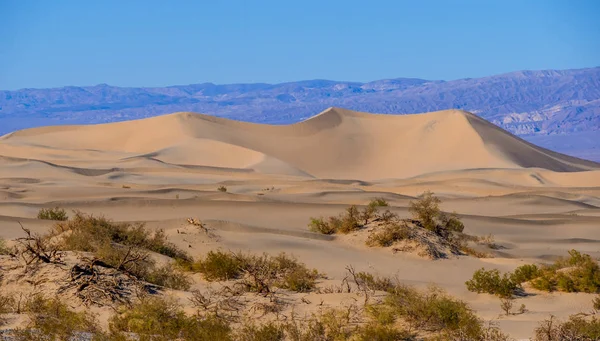 Hermosas dunas de arena Mesquite en Death Valley California —  Fotos de Stock