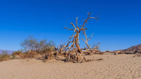 Dunas de arena en el Parque Nacional del Valle de la Muerte - Mesquite Flat Sand Dunes —  Fotos de Stock