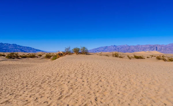 Schöne Mesquite-Sanddünen im Death Valley Kalifornien — Stockfoto