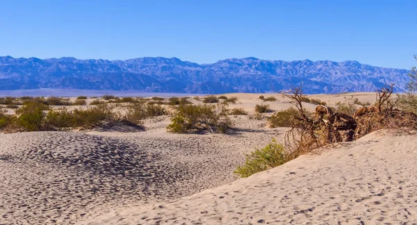 Sanddünen im Death Valley Nationalpark - Mesquite Flache Sanddünen — Stockfoto