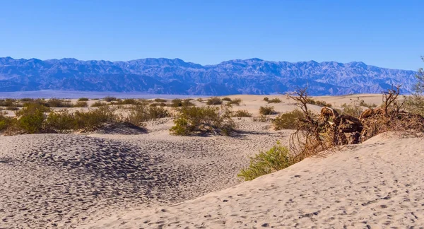 Dunas de arena en el Parque Nacional del Valle de la Muerte - Mesquite Flat Sand Dunes —  Fotos de Stock