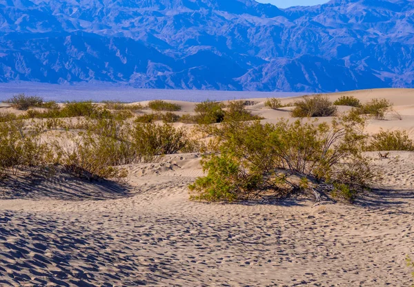 Krásné písečné duny Mesquite v údolí smrti Kalifornie — Stock fotografie