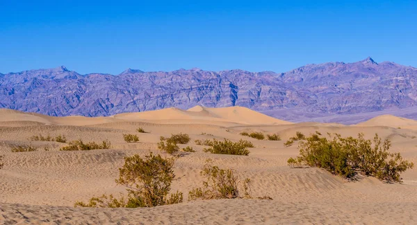 Krásné písečné duny Mesquite v údolí smrti Kalifornie — Stock fotografie