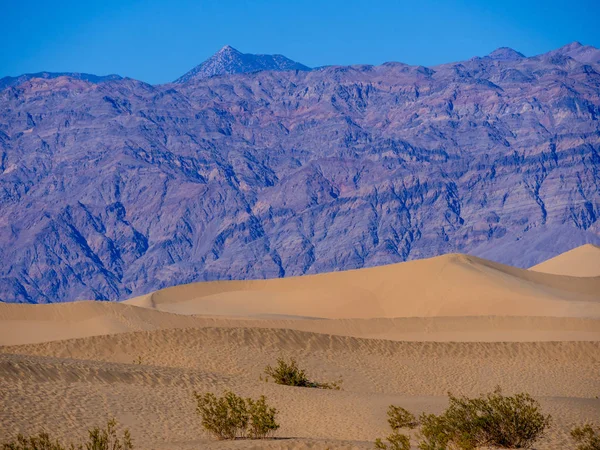 Güzel Mesquite Kum Tepeleri Ölüm Vadisi California 'da — Stok fotoğraf