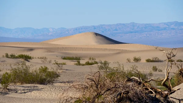 Belles dunes de sable Mesquite à Death Valley Californie — Photo