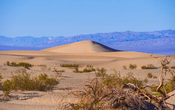 Wydmy piaskowe w Parku Narodowym Dolina Śmierci - Mesquite Flat Sand Dunes — Zdjęcie stockowe