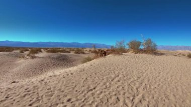 Meşhur Mesquite kum tepeleri Ölüm Vadisi Ulusal Parkı 'nda