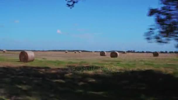 Heuballen auf dem Gras in der Landschaft von Oklahoma — Stockvideo