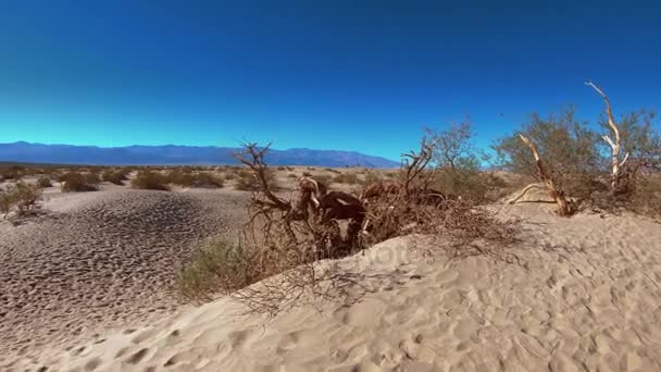 Плоскі піщані дюни в національному парку Долина Смерті. — стокове відео