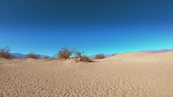 Incroyable parc national de la Vallée de la Mort - les dunes Mesquite 