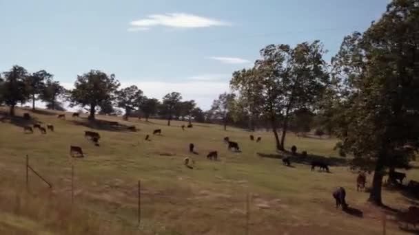 Didorong oleh sebuah peternakan di Oklahoma - pedesaan yang indah — Stok Video