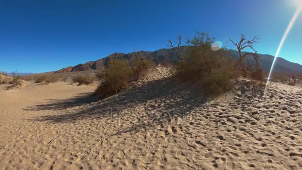 Плоские дюны Мескита в национальном парке Долины Смерти — стоковое видео