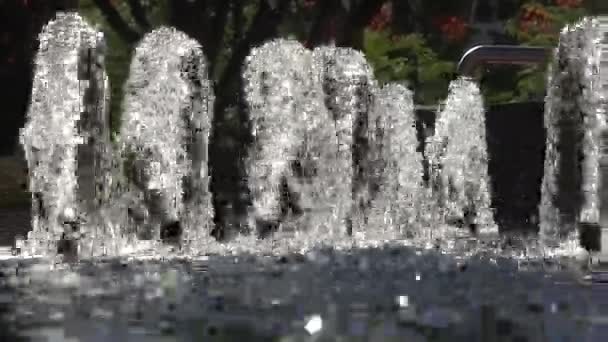Fountain at The Park pedestrian zone in Las Vegas — Stock Video