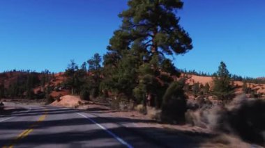 Utah 'taki güzel Kızıl Kanyon - harika manzaralı yollar