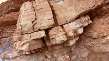 Güzel Altın Kanyon Ölüm Vadisi California 'da