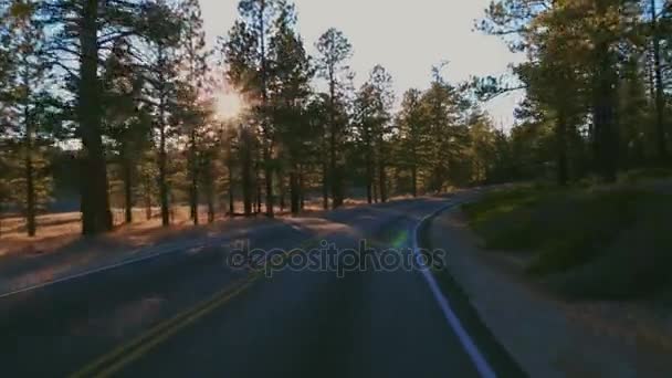 Härlig skog på Bryce Canyon - Pov drive — Stockvideo