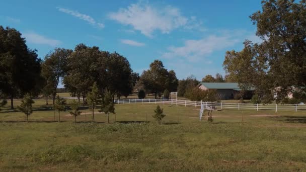 Horses on a farm in Oklahoma - country-style — Stok Video