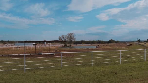 Paarden op een boerderij in Oklahoma - country-style — Stockvideo