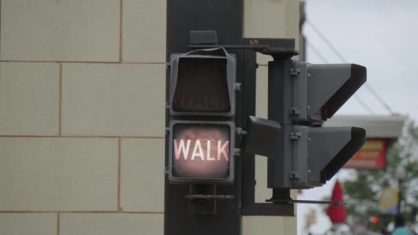 Walk - Dont Walk old traffic lights in Tulsa Downtown — Stock Video