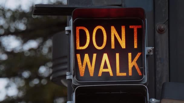 툴 사 다운타운의 오래 된 교통 신호등을 걷는다 — 비디오