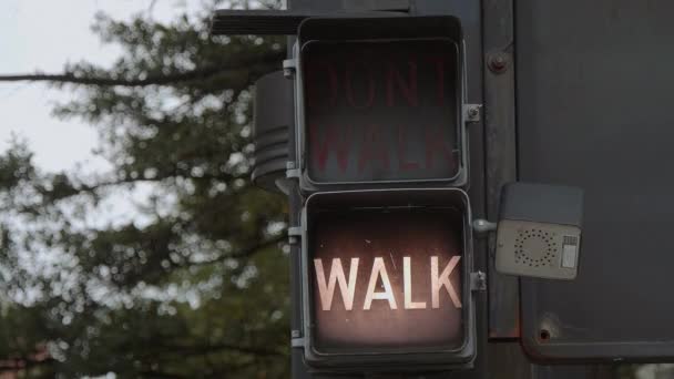 ウォーク-タルサダウンタウンの古い交通信号を歩く — ストック動画