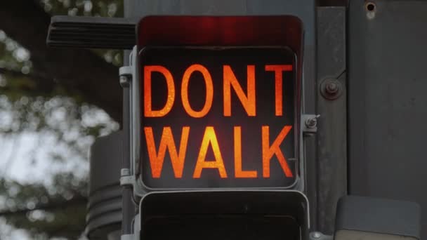 Walk - Dont Walk gamla trafikljus i Tulsa centrum — Stockvideo