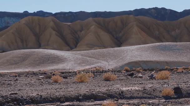 The amazing landscape of Death Valley National Park in California — Stock Video