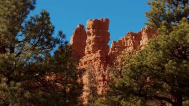 Utah 'taki Kızıl Kanyon' daki inanılmaz kayalar.