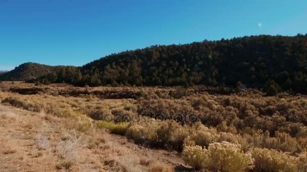 Bela paisagem no Bryce Canyon em Utah — Vídeo de Stock