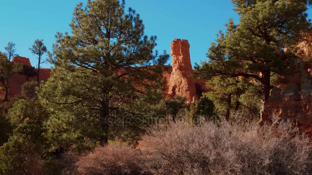 A csodálatos sziklák a Red Canyon Utah — Stock videók