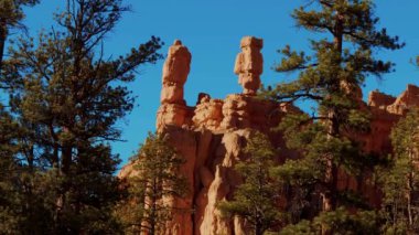 Utah 'taki Kızıl Kanyon' daki inanılmaz kayalar.