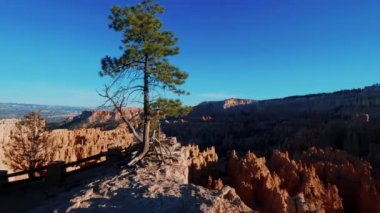 Utah 'taki muhteşem Bryce Kanyonu - ünlü Ulusal Park
