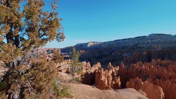 Wunderbarer Bryce Canyon in Utah - berühmter Nationalpark — Stockvideo