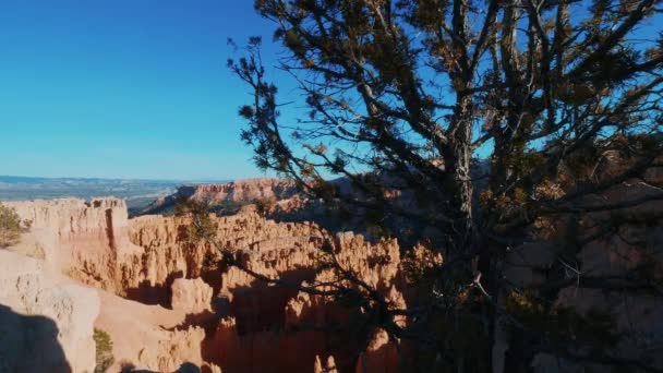 Maravilhoso Bryce Canyon em Utah - famoso Parque Nacional — Vídeo de Stock