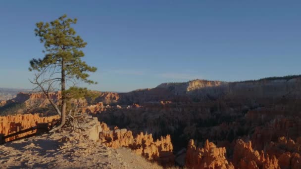 Wonderful Bryce Canyon in Utah - famous National Park — Stock Video