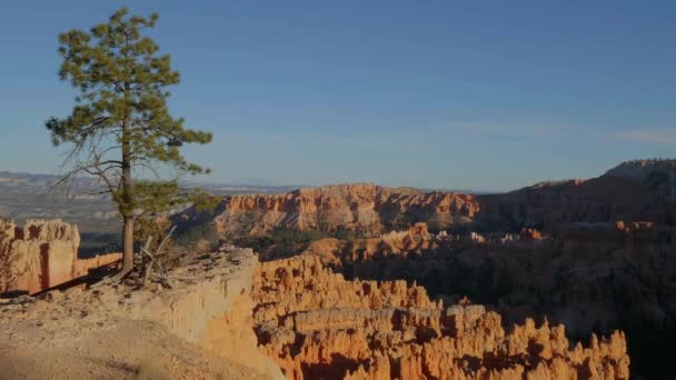 Underbar Bryce Canyon i Utah - känd nationalpark — Stockvideo