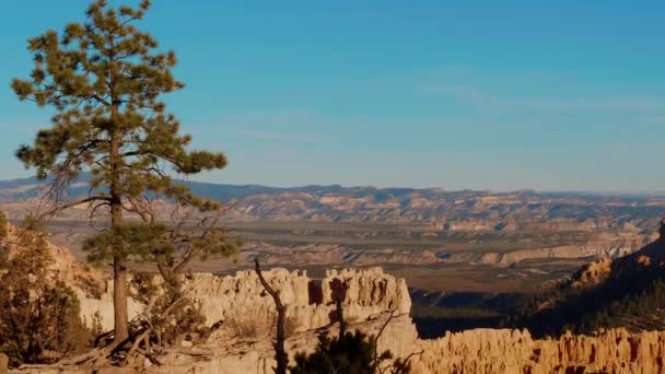 Найгарніші місця на Землі - національний парк Брайс - Каньйон в Юті. — стокове відео