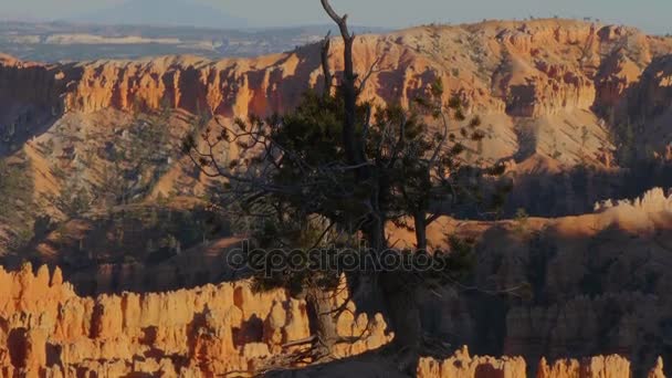 Splendido Bryce Canyon nello Utah - famoso Parco Nazionale — Video Stock