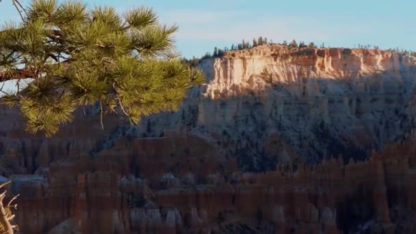 유타 의유 명 한 국립 공원에 있는 아름다운 브라이스 캐니언 — 비디오