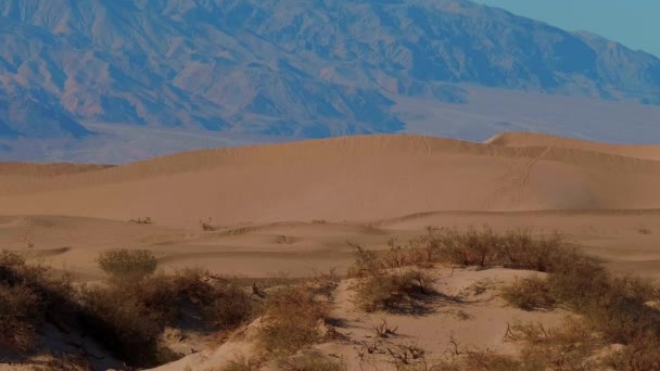 Gyönyörű Mesquite Sand Dunes a Death Valley Kaliforniában — Stock videók