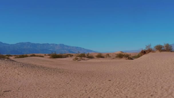 Ölüm Vadisi Ulusal Parkı 'ndaki kum tepeleri Mesquite Düz Kum tepeleri — Stok video