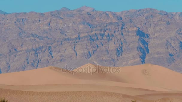 Όμορφη Mesquite Αμμόλοφους στο Death Valley Καλιφόρνια — Αρχείο Βίντεο