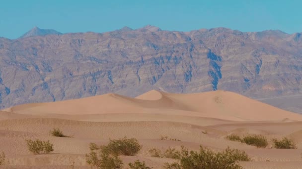 Parque Nacional del Valle de la Muerte - las dunas de arena Mesquite — Vídeo de stock