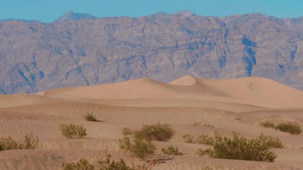 Beautiful Mesquite Sand Dunes at Death Valley California — Stock Video