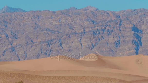 Bela paisagem de dunas de areia planas Mesquite no Vale da Morte — Vídeo de Stock
