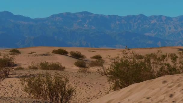 Písečné duny v Národním parku Death Valley - Mesquite Flat Sand Dunes — Stock video