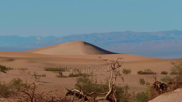 Bela paisagem de dunas de areia planas Mesquite no Vale da Morte — Vídeo de Stock