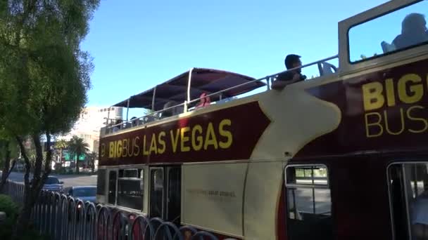 Sightseeing bus in Las Vegas - Big Bus city tour - LAS VEGAS-NEVADA, OCTOBER 11, 2017 — Stock Video